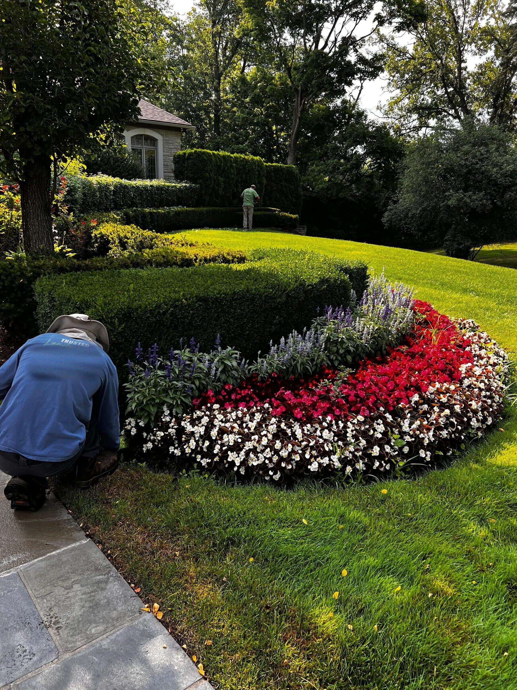 Trusted Landscaping crew planting a formal flower bed on an Oakland County estate