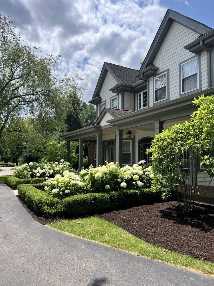 Hydrangea and boxwood front beds with a paver edge, planted by Trusted Landscaping