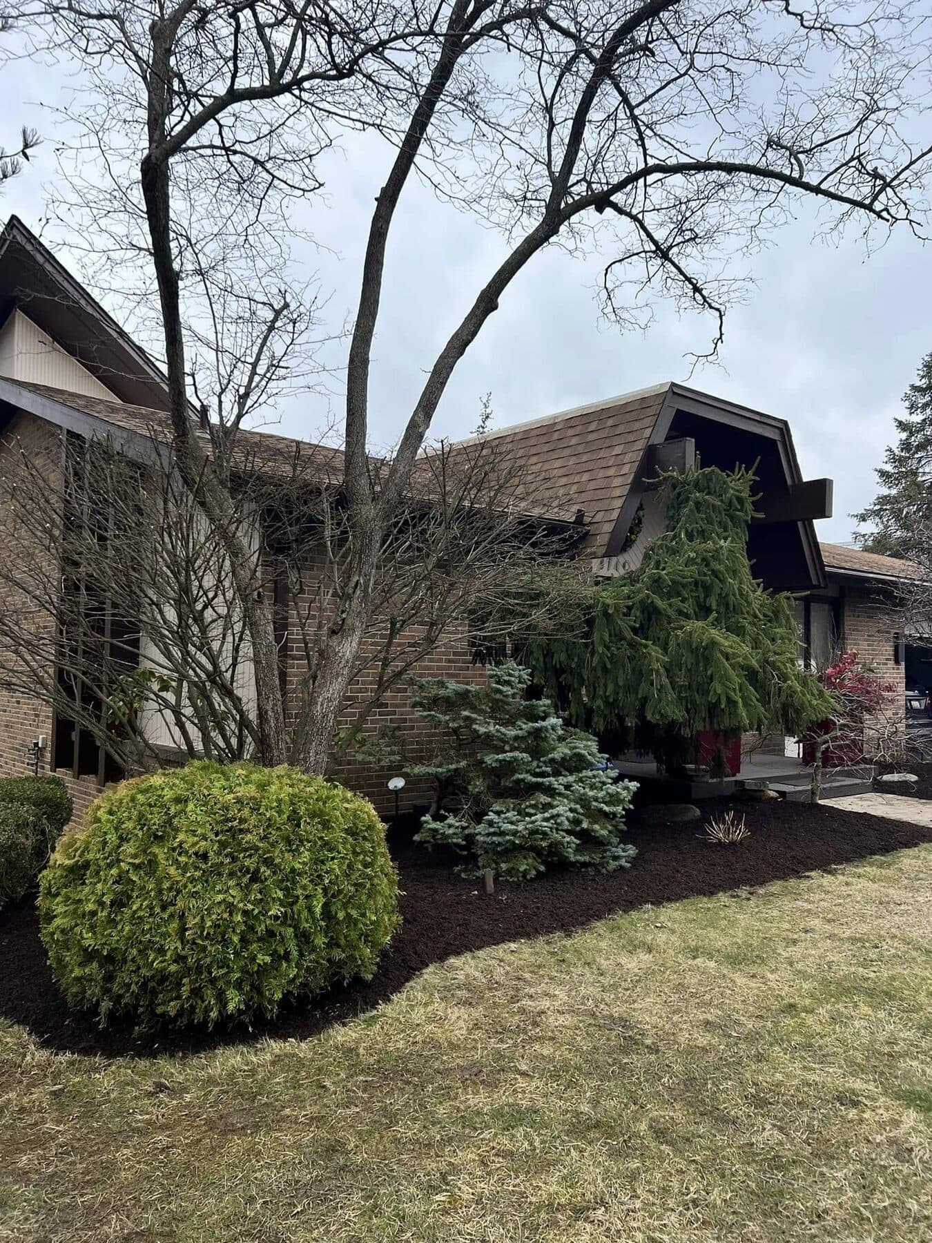 Overgrown shrubs cut back and beds cleaned up around a ranch home